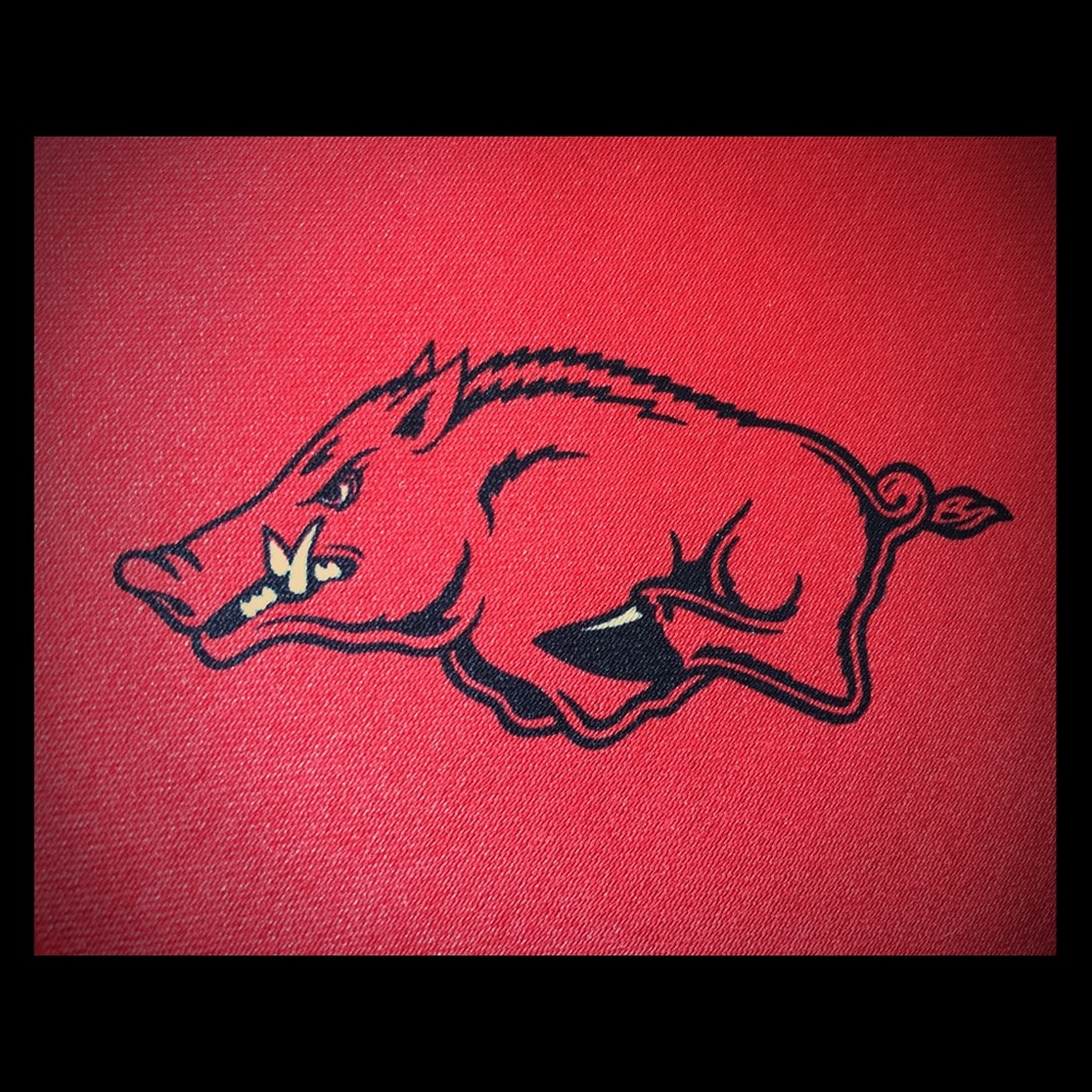 NCAA Razorback Necktie